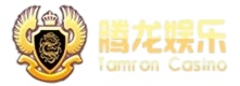 腾龙公司Logo